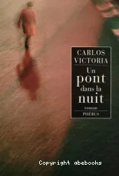 Un pont dans la nuit