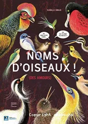 Noms d'oiseaux !