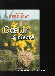 Coeur de pierre