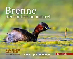 Brenne, rencontres au naturel