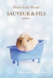 Sauveur et Fils. Saison 1