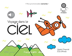 Voyage dans le ciel