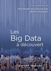 Les big data à découvert