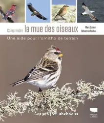 Comprendre la mue des oiseaux