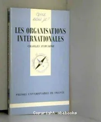 Les Organisations internationales