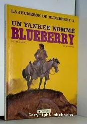 Un yankee nommé Blueberry