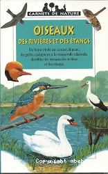 Oiseaux des rivières et des étangs