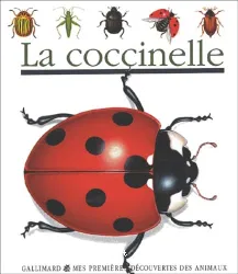 La coccinelle