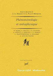 Phénoménologie et métaphysique