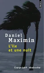 L'île et une nuit : roman