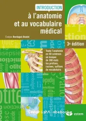 Anatomie et vocabulaire médical