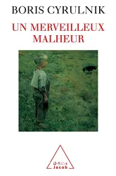 Un Merveilleux malheur