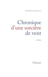 Chronique d'une sorcière de vent : roman