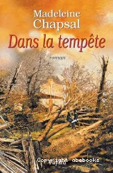 Dans la tempête : roman