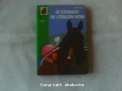 Le Courage de l'Etalon Noir