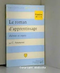 Le roman d'apprentissage: thèmes et sujets