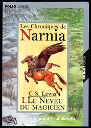 Le neveu du magicien