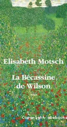 La Bécassine de Wilson