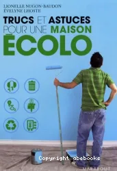 Trucs et astuces pour une maison écolo : [e-book]