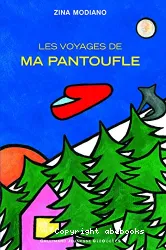 Les voyages de ma pantoufle