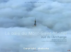 La baie du Mont-Saint-Michel vue de l'Archange