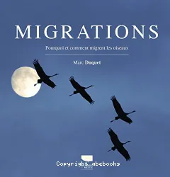 Migrations : pourquoi et comment migrent les oiseaux
